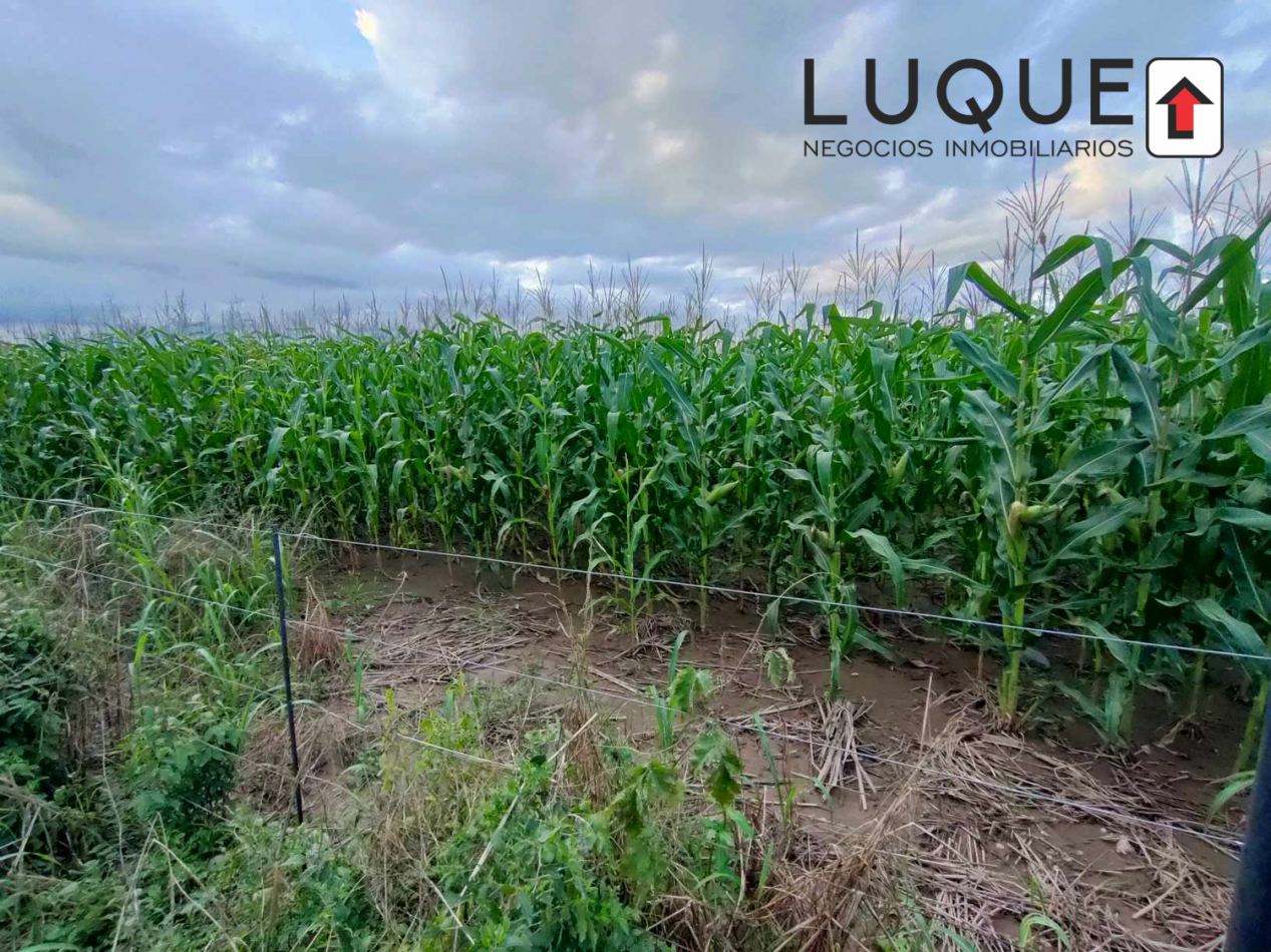 60HA EN VENTA EN EL ACCESO A EL CARRIL