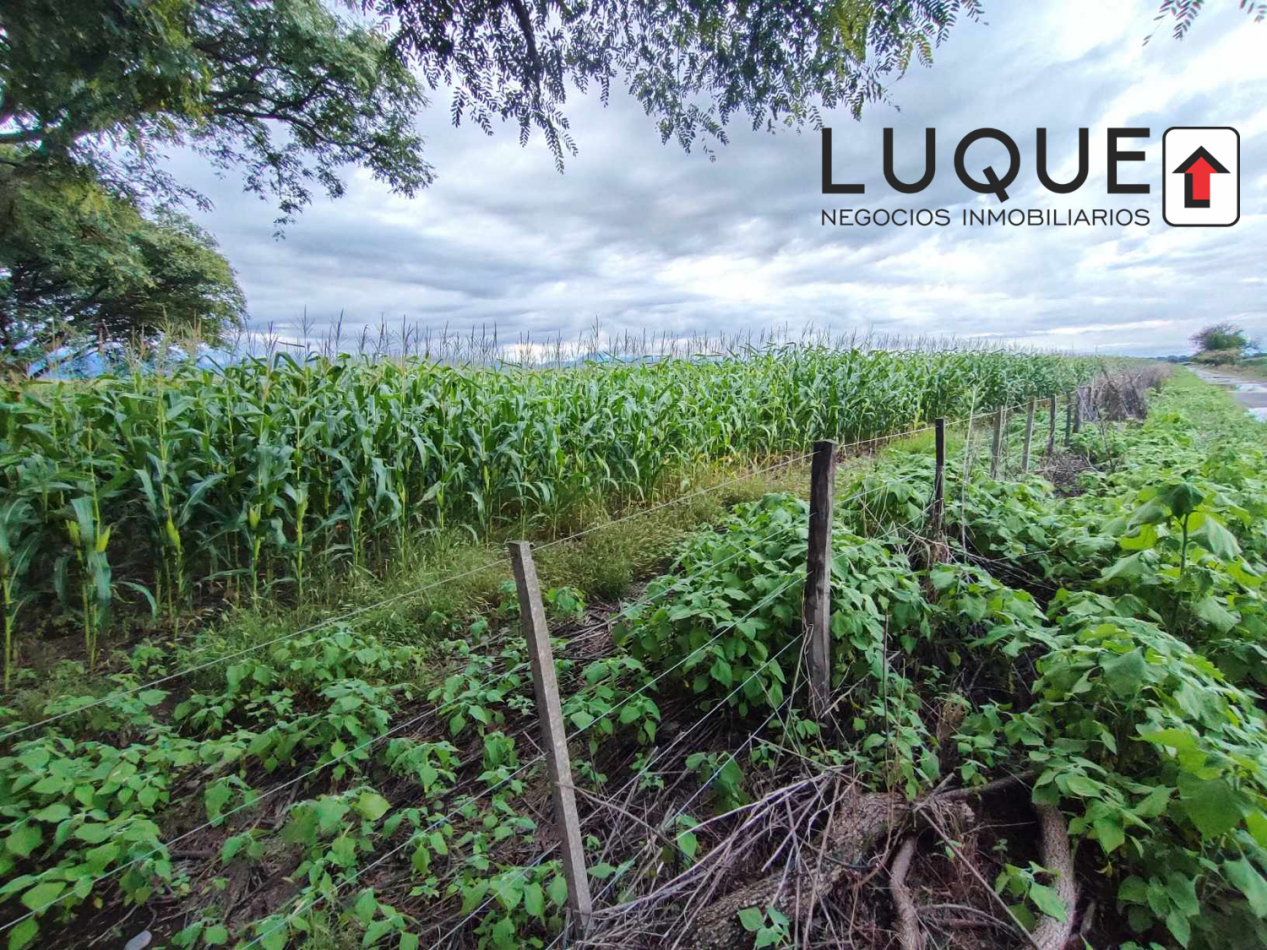 60HA EN VENTA EN EL ACCESO A EL CARRIL