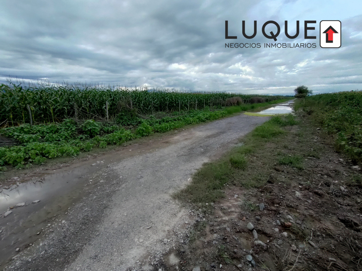 60HA EN VENTA EN EL ACCESO A EL CARRIL