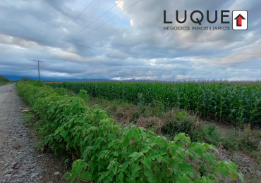 60HA EN VENTA EN EL ACCESO A EL CARRIL