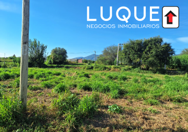 TERRENO LOS ALGARROBOS II